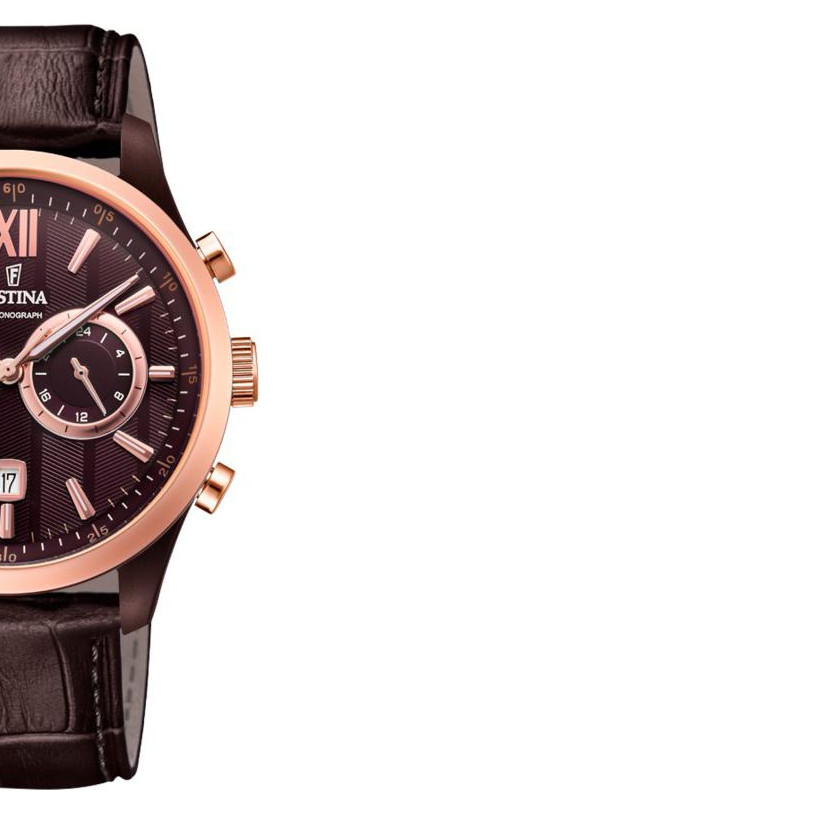 Festina Sport Chronograph F169991 6