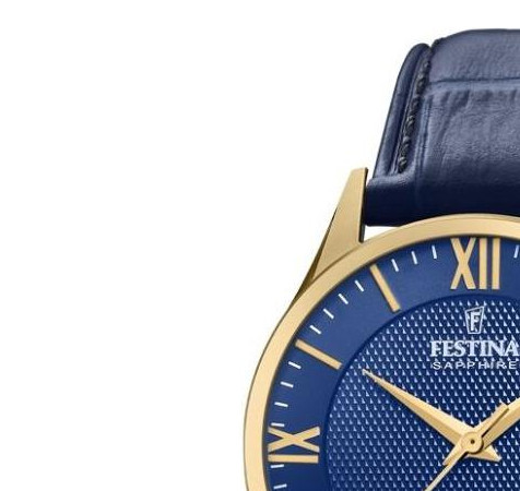 Festina Swiss Made Capsule F20010-3 - zegarek męski 4