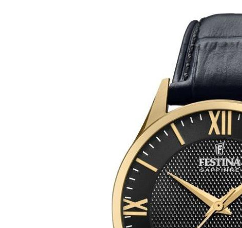 Festina Swiss Made Capsule F20010-4 - zegarek męski 4