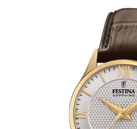 Festina Swiss Made Capsule F20011/2 - zegarek damski 4