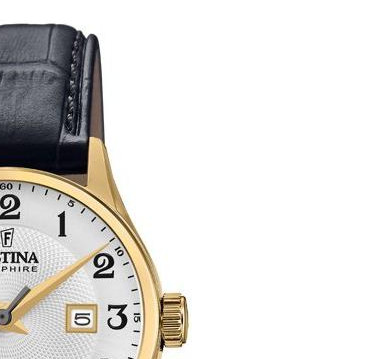 Festina Swiss Made F20011/5 - zegarek damski 5