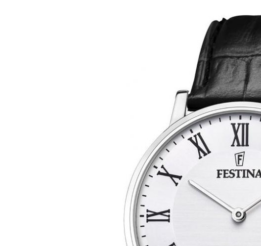 Festina Swiss Made F20012/2 - zegarek męski 4