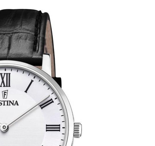 Festina Swiss Made F20012/2 - zegarek męski 5