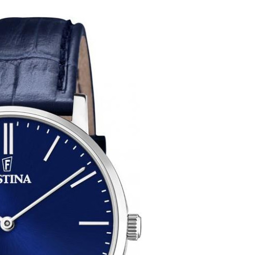 Festina Swiss Made F20012/3 - zegarek męski 5