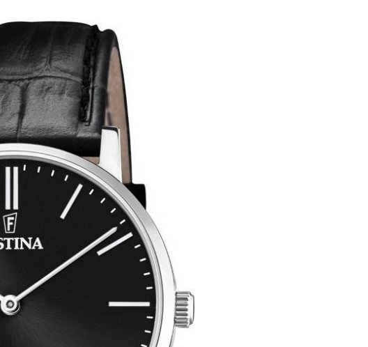 Festina Swiss Made F20012/4 - zegarek męski 5