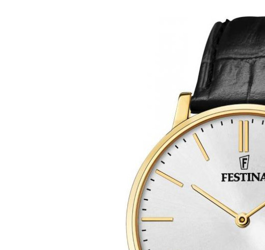 Festina Swiss Made F20016/1 - zegarek męski 4