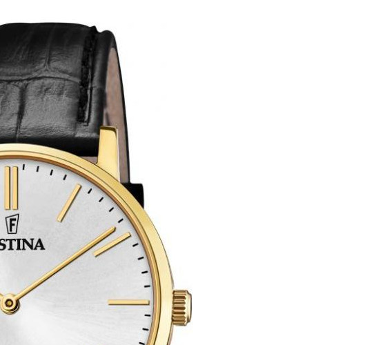 Festina Swiss Made F20016/1 - zegarek męski 5