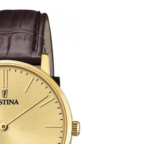 Festina Swiss Made F20016/2 - zegarek męski 5