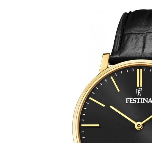 Festina Swiss Made F20016/3 - zegarek męski 4