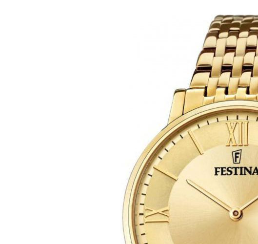 Festina Swiss Made F20020-2 - zegarek męski 4