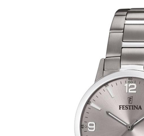 Festina Titanium F204362 4