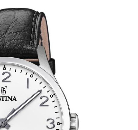 Festina Titanium F204671 5