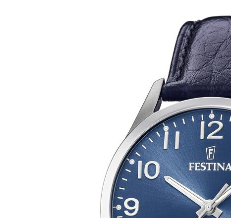 Festina Titanium F204672 4