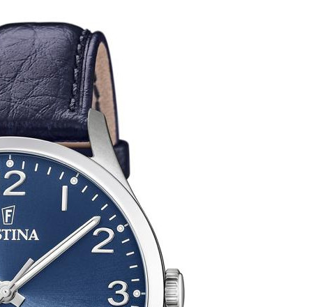 Festina Titanium F204672 5