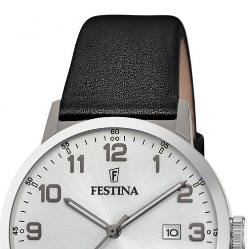 Festina Titanium F204711 3