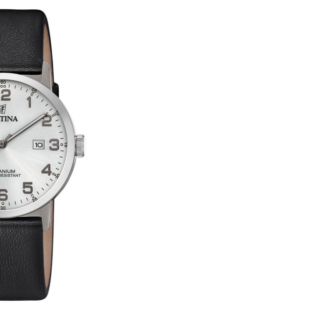 Festina Titanium F204711 6