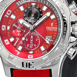Festina Tour de France 2009 161838 2