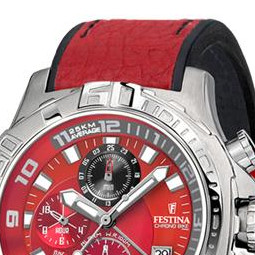 Festina Tour de France 2009 161838 3