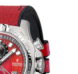 Festina Tour de France 2009 161838 5