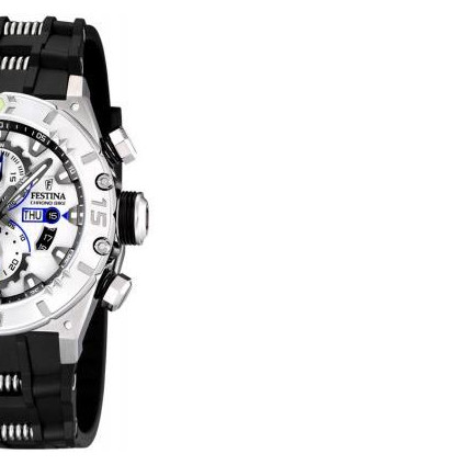 Festina Tour de France 2010 165281 6