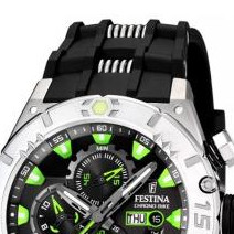Festina Tour de France 2010 165283 3
