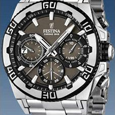 Festina Tour de France 2013 166584 2