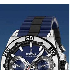 Festina Tour de France 2013 166592 3