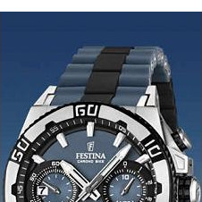 Festina Tour de France 2013 166593 3