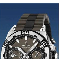 Festina Tour de France 2013 166594 3