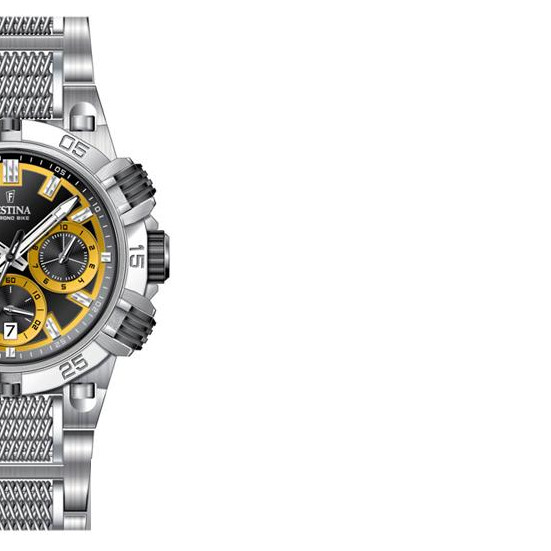 Festina Tour de France 2014 167747 6