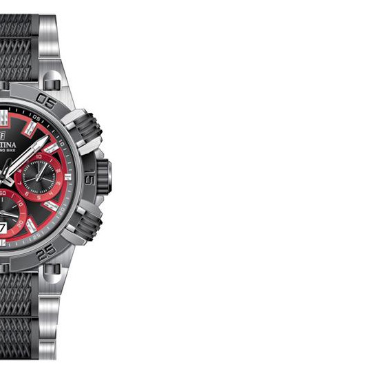 Festina Tour de France 2014 167758 6