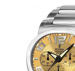 Festina Trend 161228 4