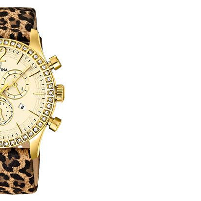 Festina Trend 166056 6