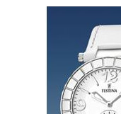 Festina Trend 166191 4