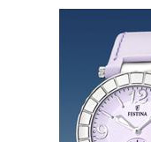 Festina Trend 166193 4