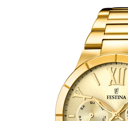 Festina Trend 167172 4