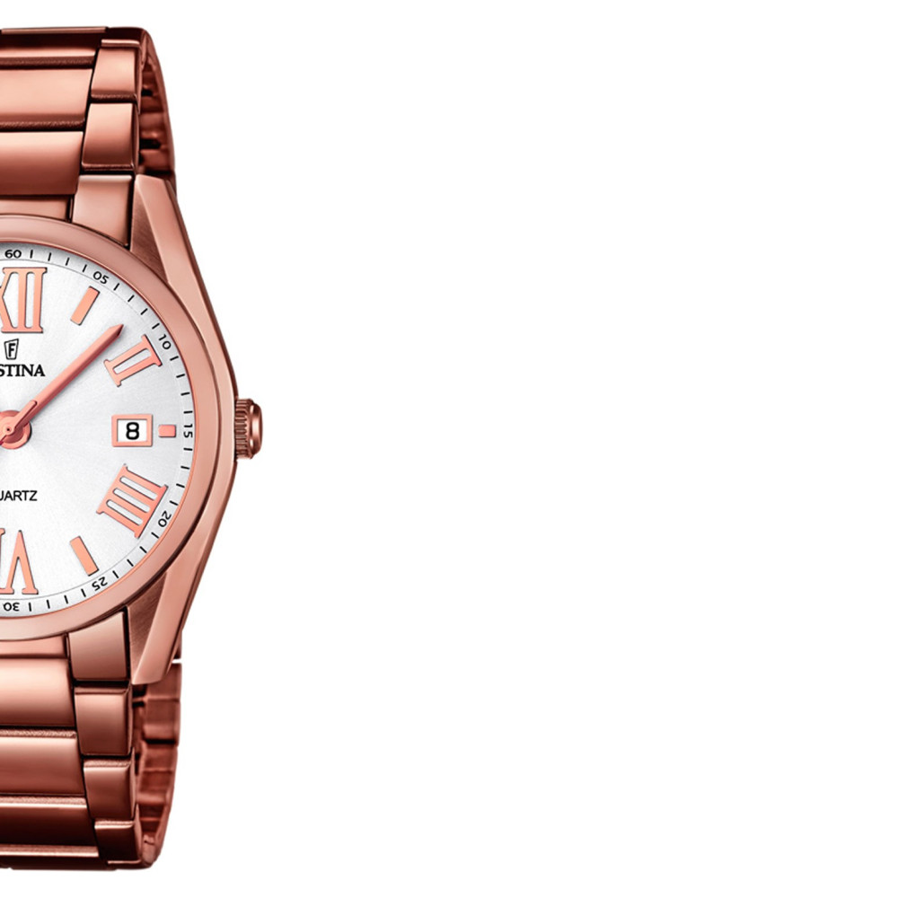 Festina Trend 167911 6