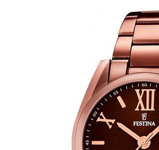 Festina Trend 167912 4