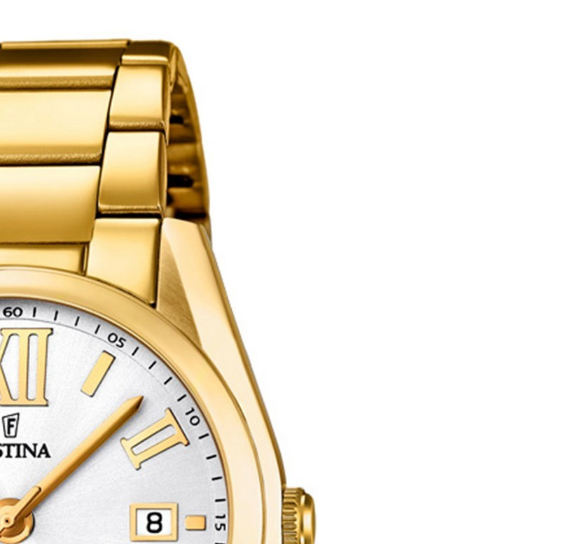 Festina Trend 167921 5