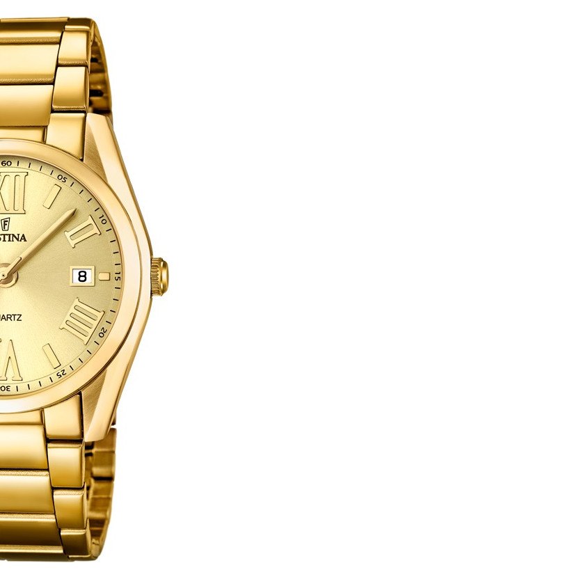 Festina Trend  167922 6