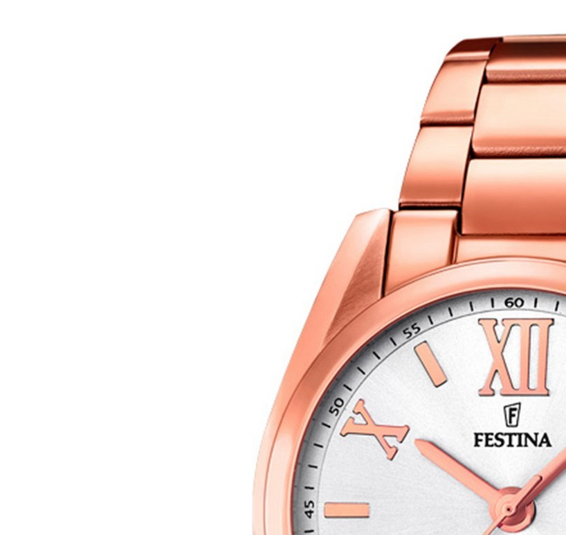 Festina Trend 167931 4