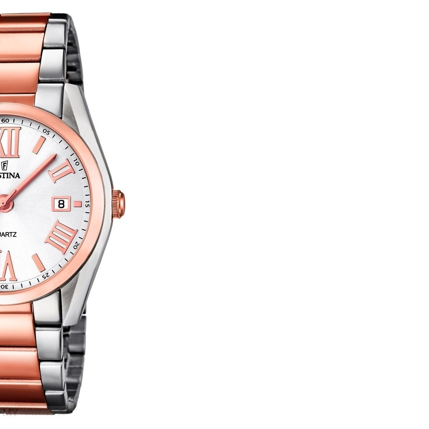 Festina Trend 167951 6