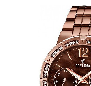Festina Trend 167962 4