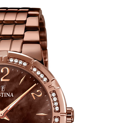 Festina Trend 167972 5