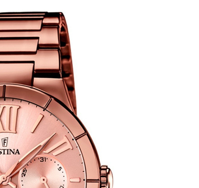 Festina Trend 167981 5