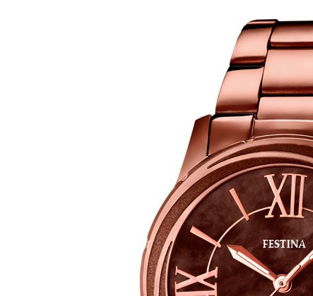 Festina Trend 167991 4
