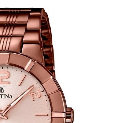 Festina Trend F167151 5