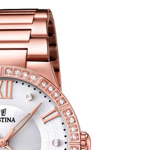 Festina Trend F167211 5