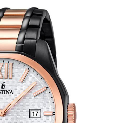Festina Trend F168531 5