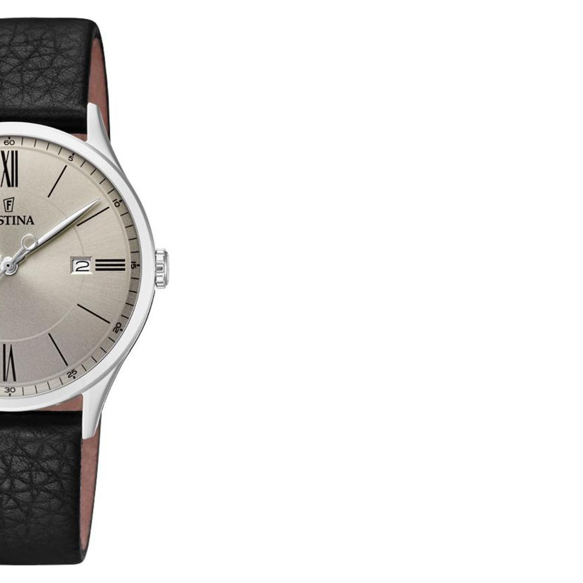 Festina Trend F169782 6